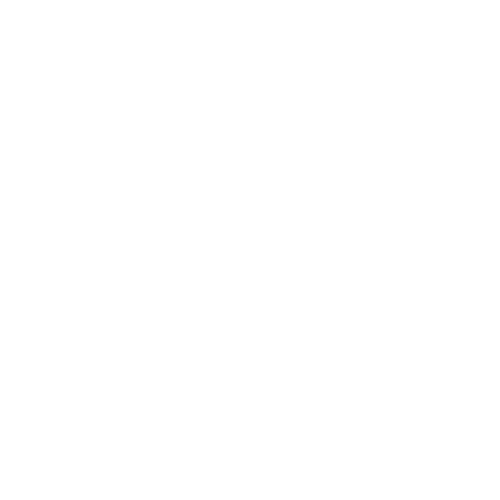 Icon Budget