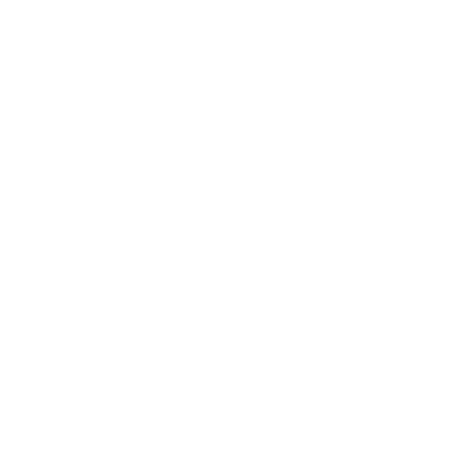 Icon Health Insurance