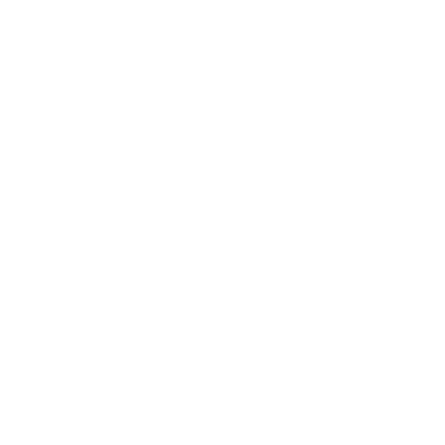 Icon Window